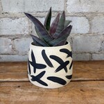 Vicky Makes Black Criss Cross 3.5"
