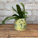 Vicky Makes Yellow Green Splatter 3.5"