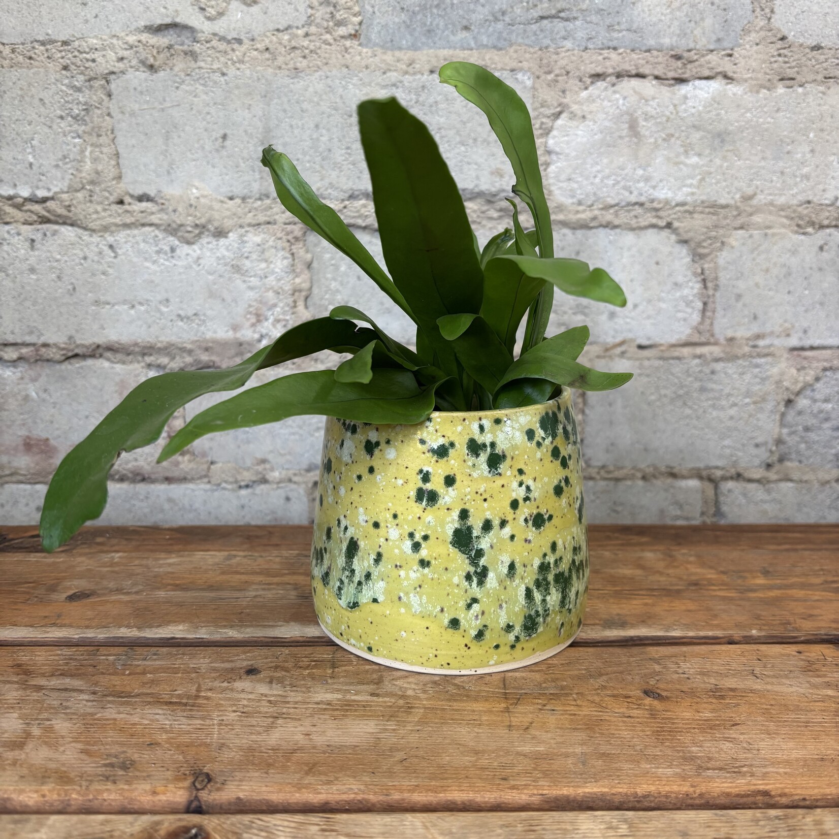 Vicky Makes Yellow Green Splatter 3.5"