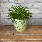 Vicky Makes Yellow Green Splatter 6"