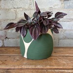 Vicky Makes Things Vicky Makes Ceramics Green Blob 5"