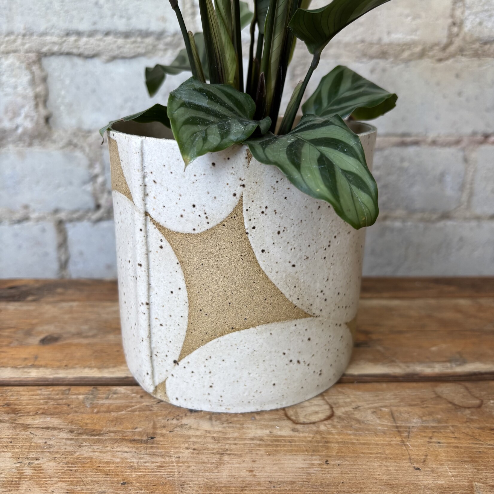 Ceramics: Eikcam Pod Planter (Fits 4.25")