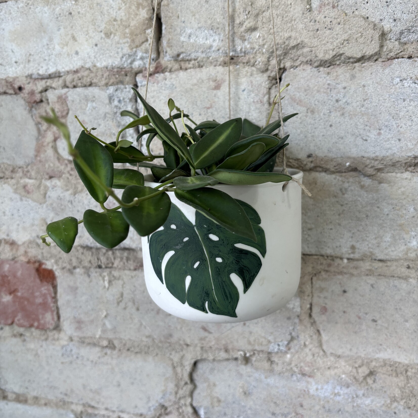 Ceramics: Eikcam Hanging Planter (Monstera)