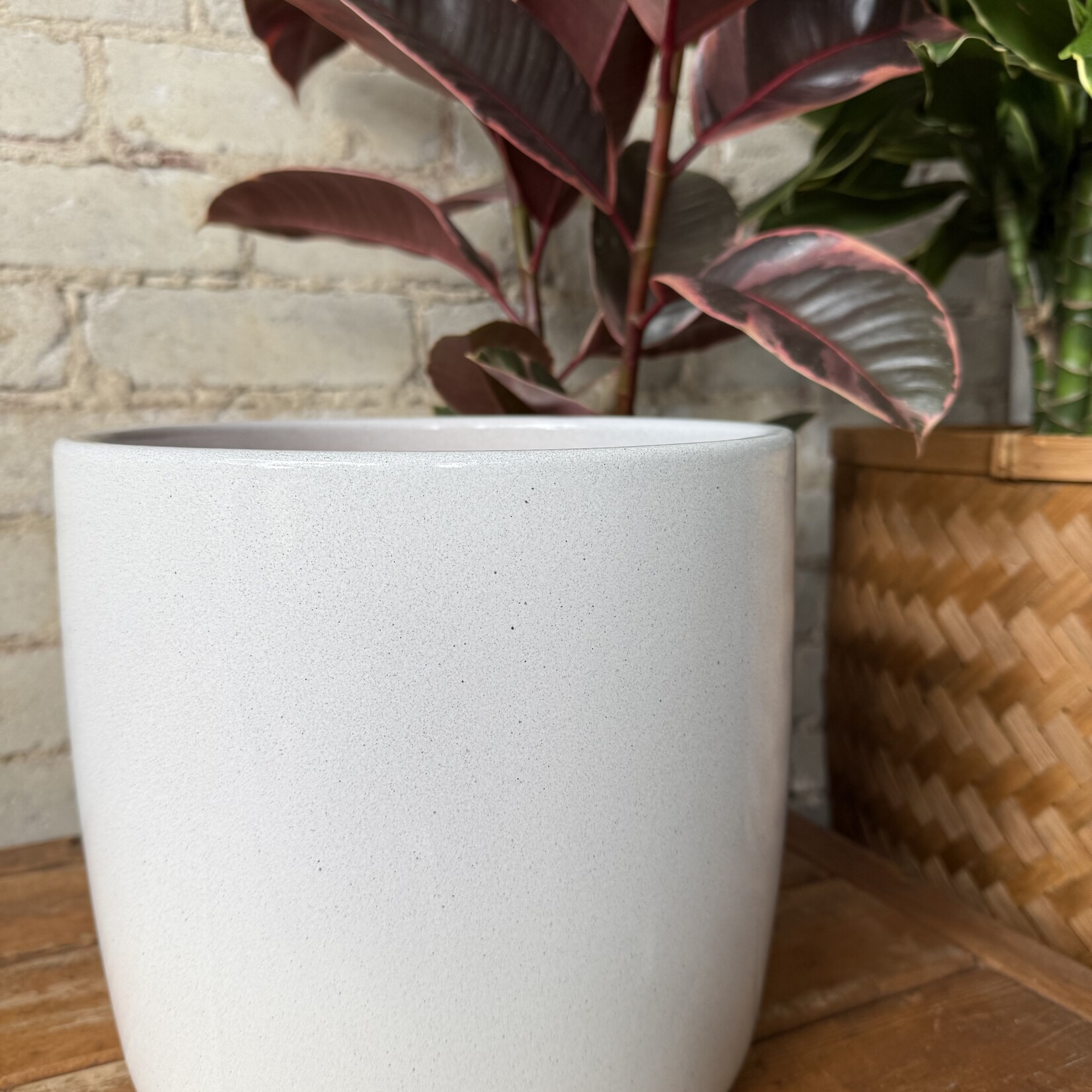 Assorted Pots Solido Pot (fits 8")