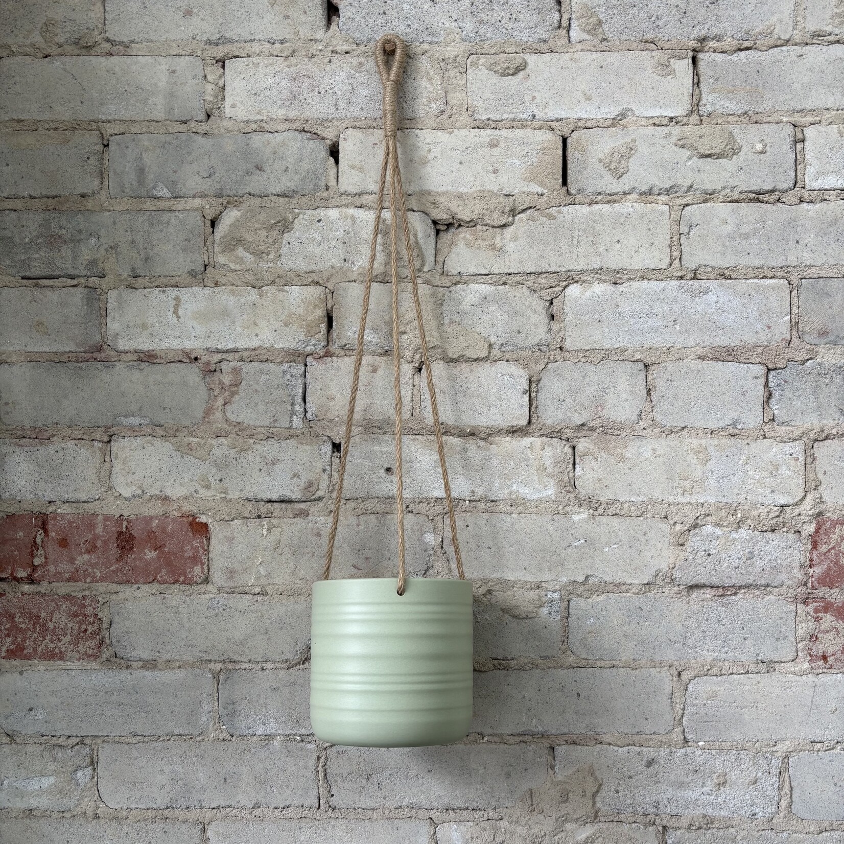 Assorted Pots Scheurich Hanging Pot — Green (fits 5")
