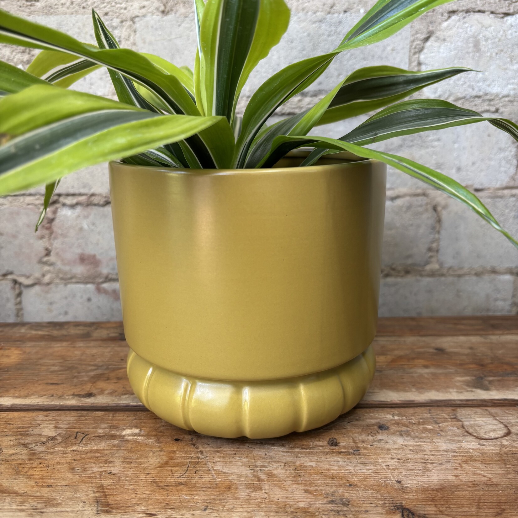 Assorted Pots Fara Pot Ochre (fits 5")