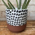 Lassen Pot (fits 4")