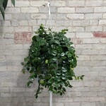 Lipstick Mona Lisa 8" HB