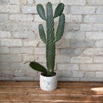 Cowboy / Cartoon Cactus 5"