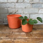 Jae Polgar Ceramics Grapefruit 4.5"