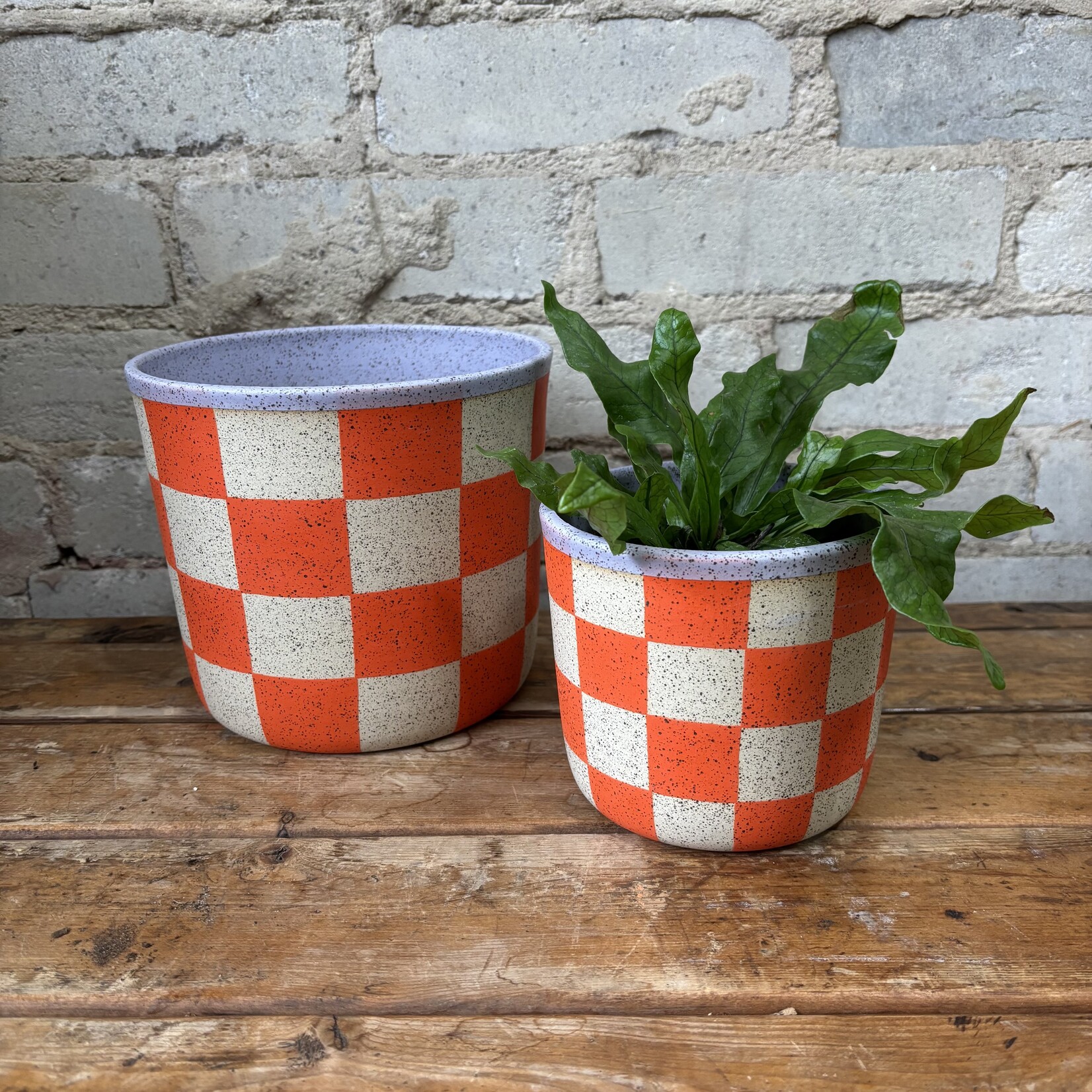 Jae Polgar Ceramics Grapefruit Checkerboard 4.5"