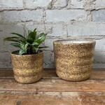 Jae Polgar Ceramics Cloud Quail Egg 4.5"