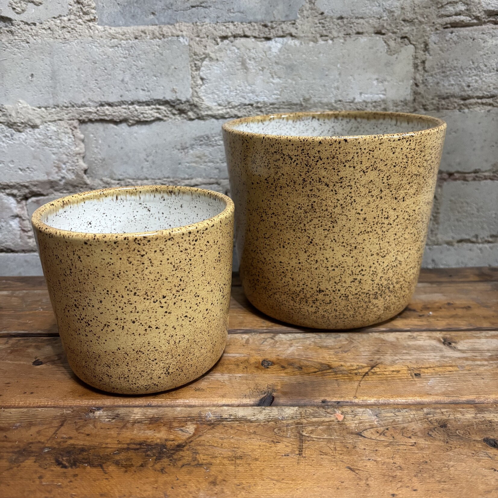 Jae Polgar Quail Egg 4.5"