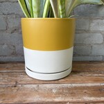 Momma Pots - Top Half Mustard 8.25"