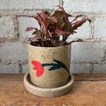 Nightshift Ceramics - Red Tulip 3" (with saucer)