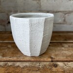 Assorted Pots Bona Pot (fits 3.5")