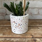 Assorted Pots Terrazzo Mini Pot White (fits 2.5")