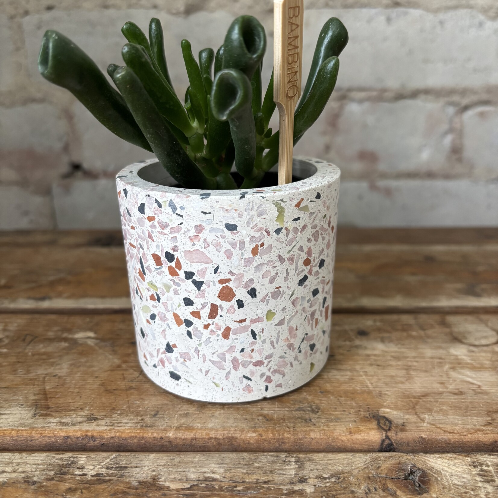 Assorted Pots Terrazzo Mini Pot White (fits 2.5")