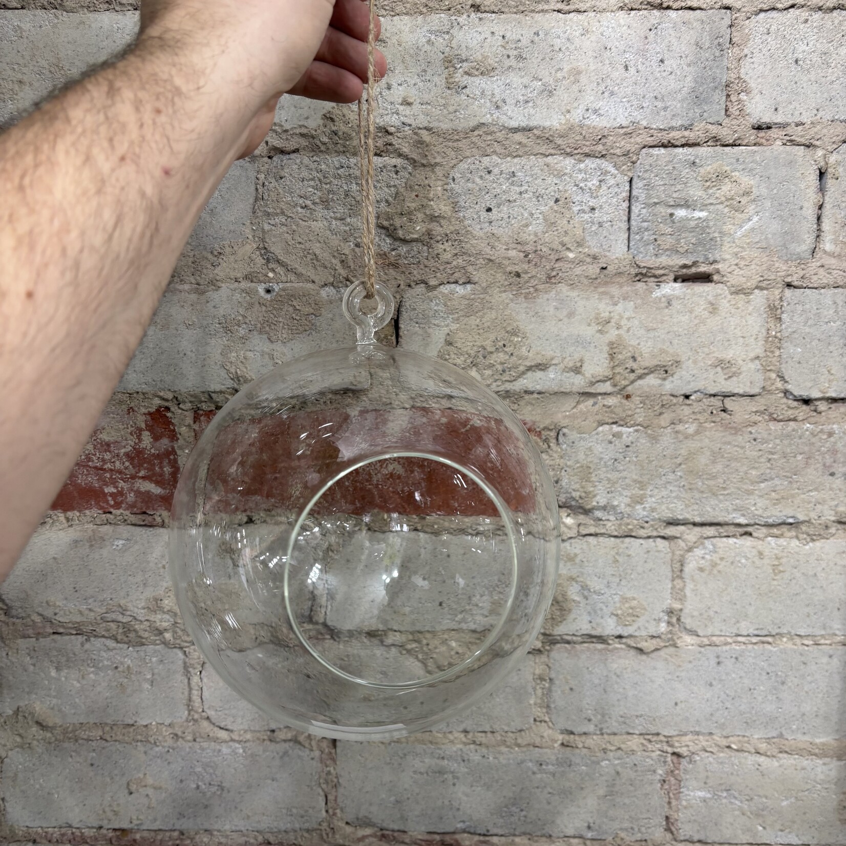 Large Hanging Orb (Glass Terrarium)