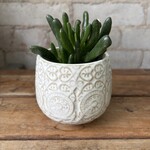 Francis Pot (Fits 2.5")