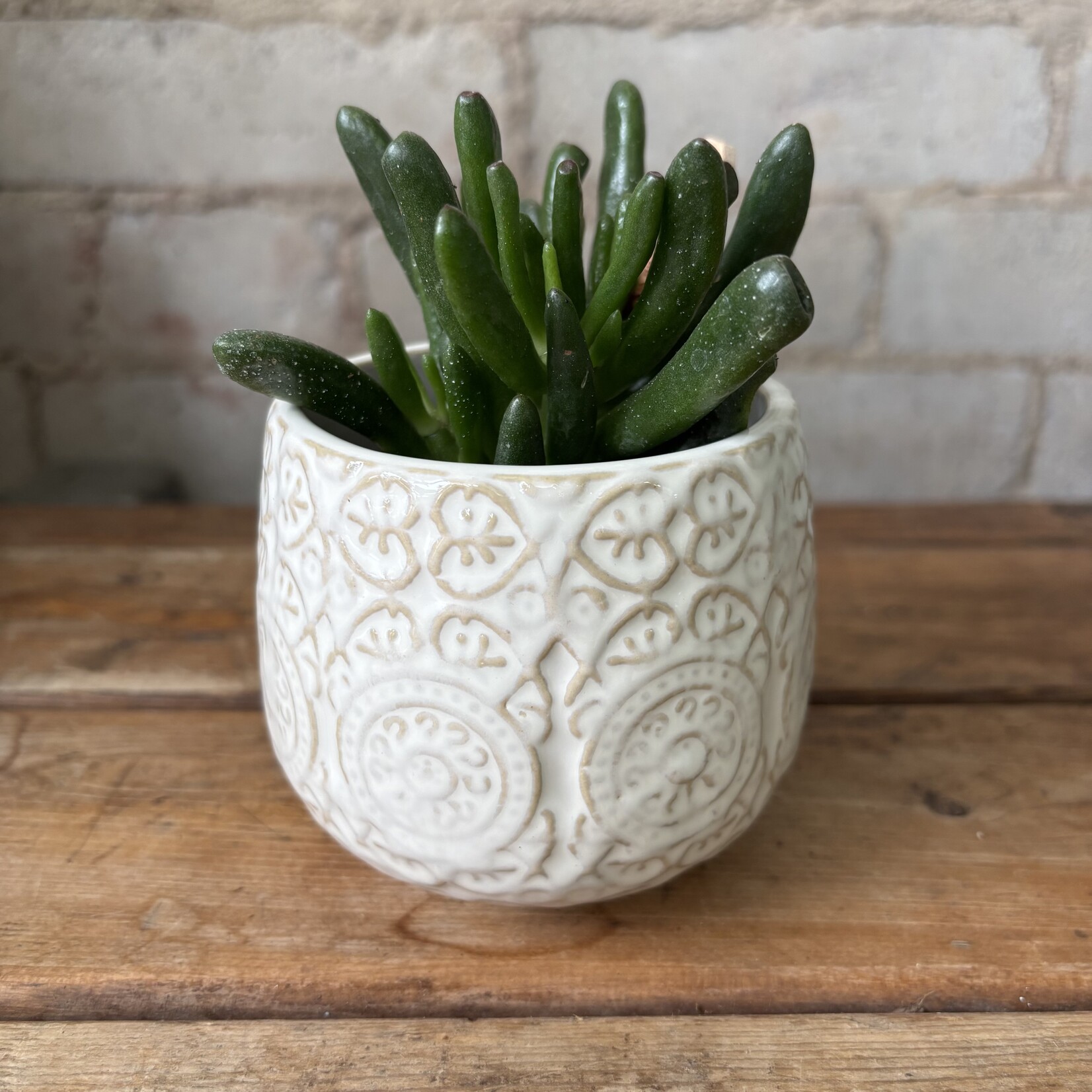 Francis Pot (Fits 2.5")