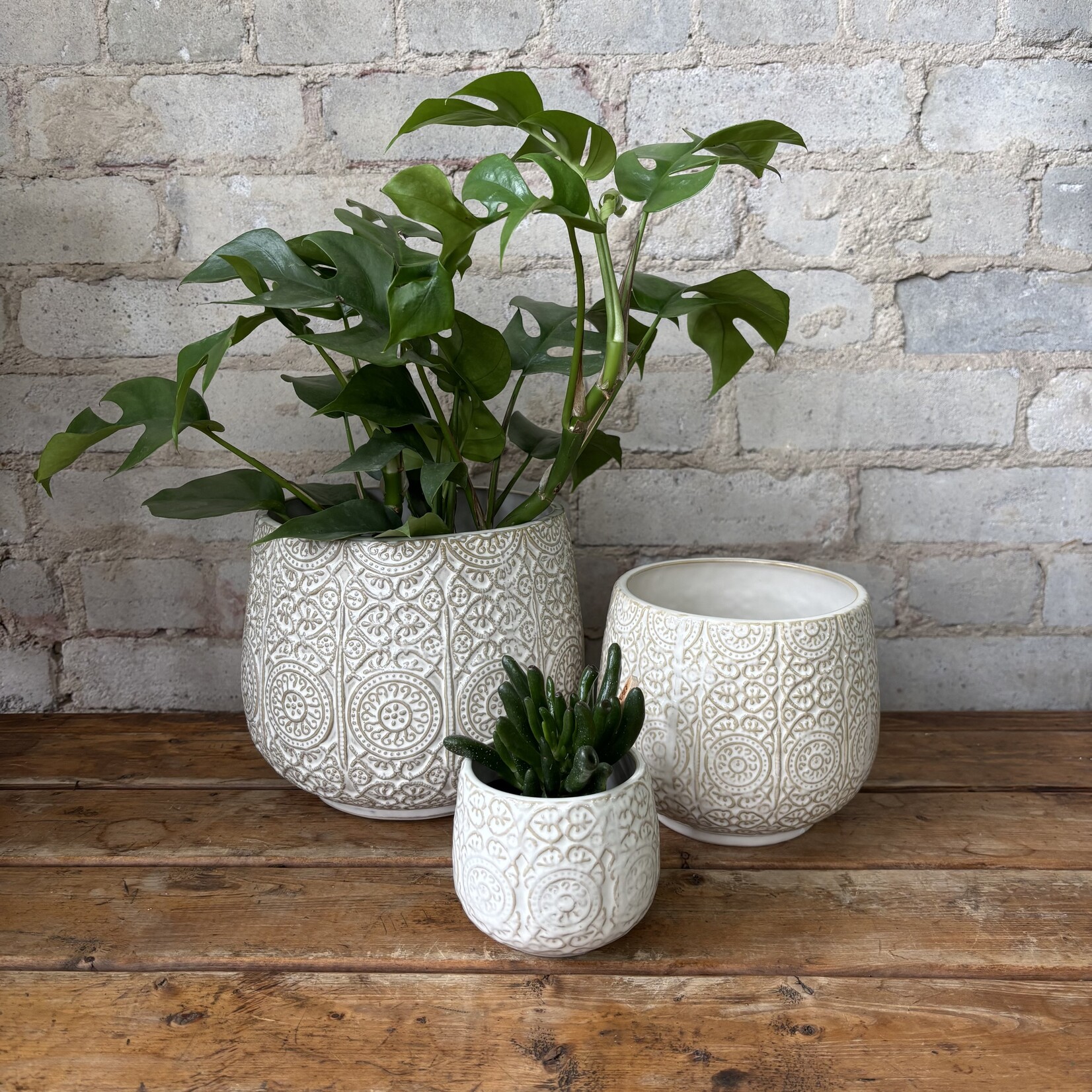 Francis Pot (Fits 2.5")