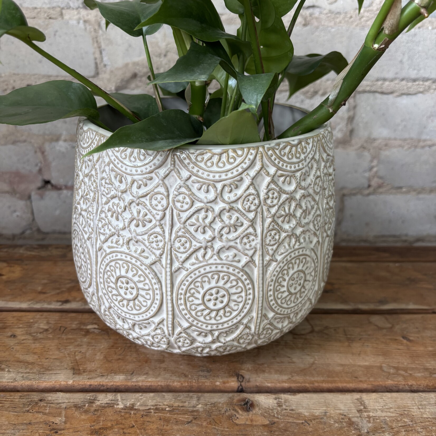 Francis Pot (Fits 6")