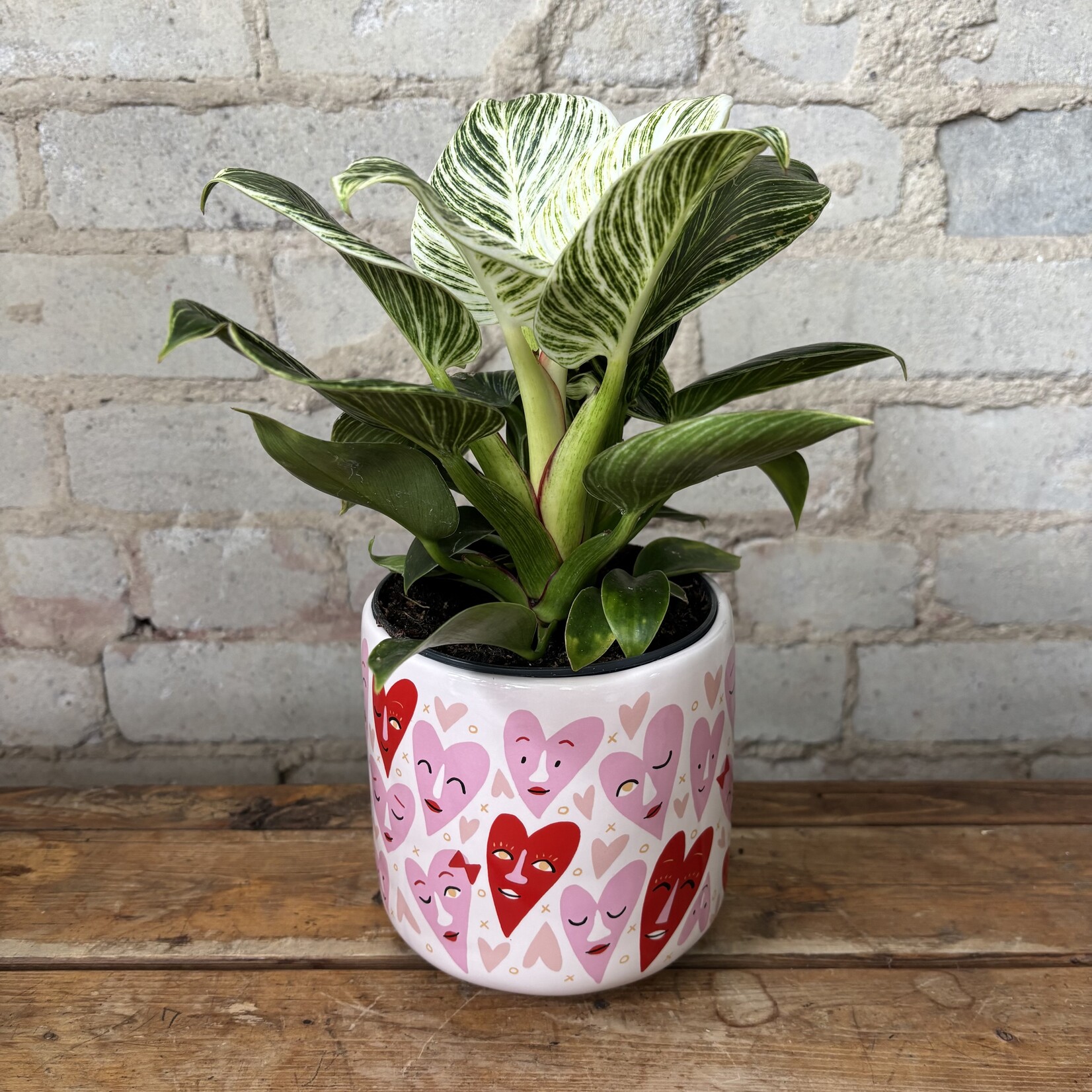 Laughter Pot (Fits 5")