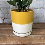 Momma Pots - Top Half Mustard 6.25"