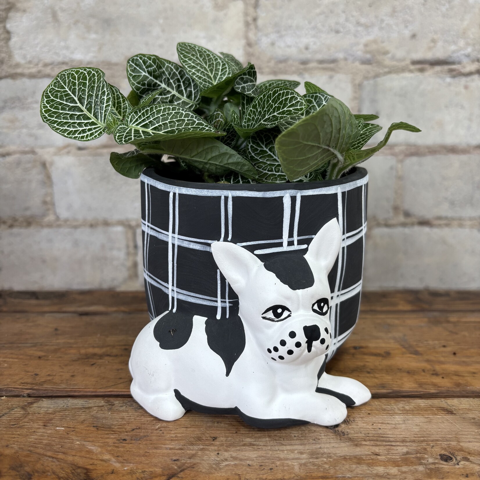 Pampered Dog Pot (Fits 3.5")