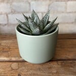 Kendall Green (Fits 2.5")