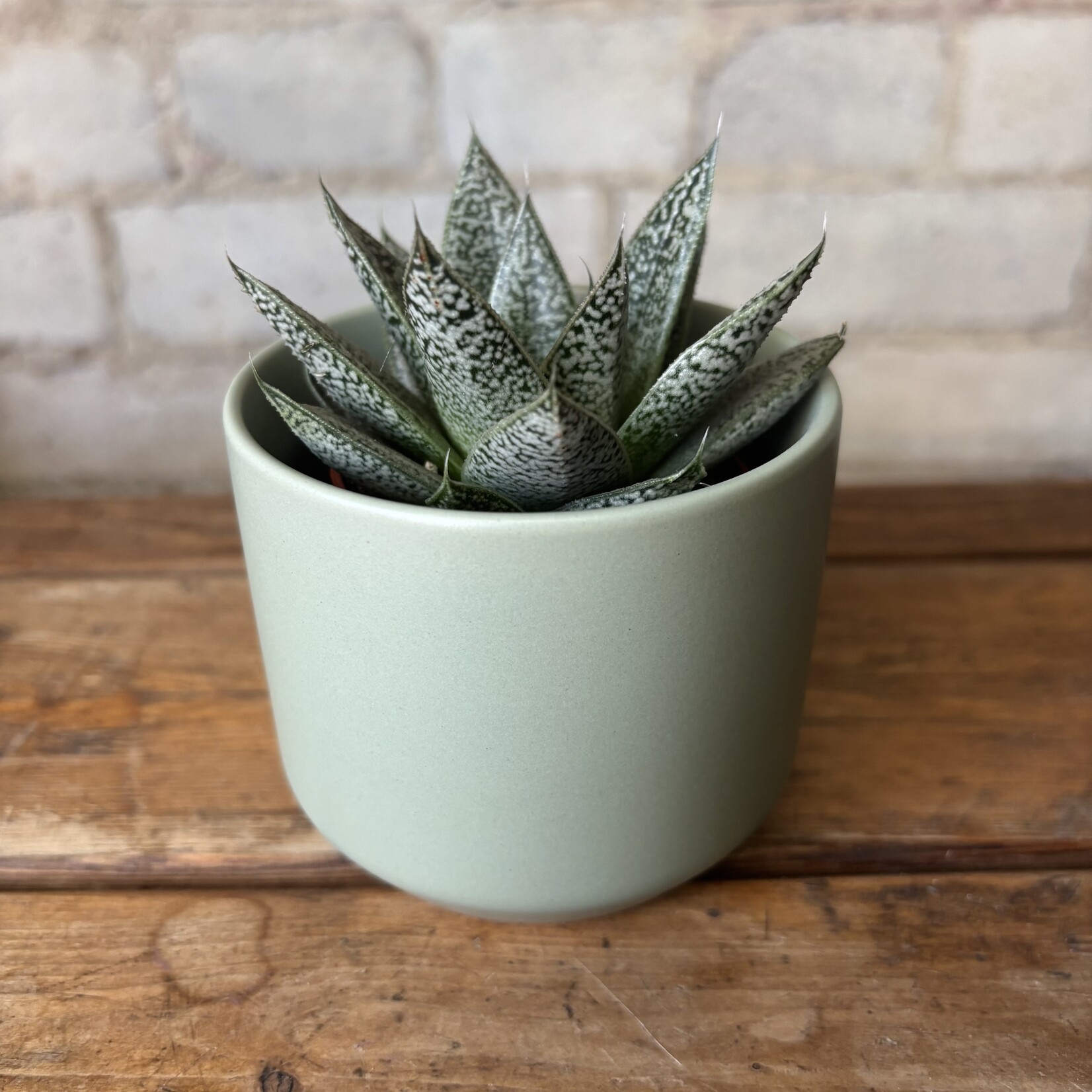 Kendall Green (Fits 2.5")