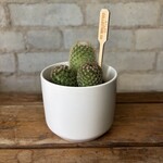 Kendall White (Fits 2.5")