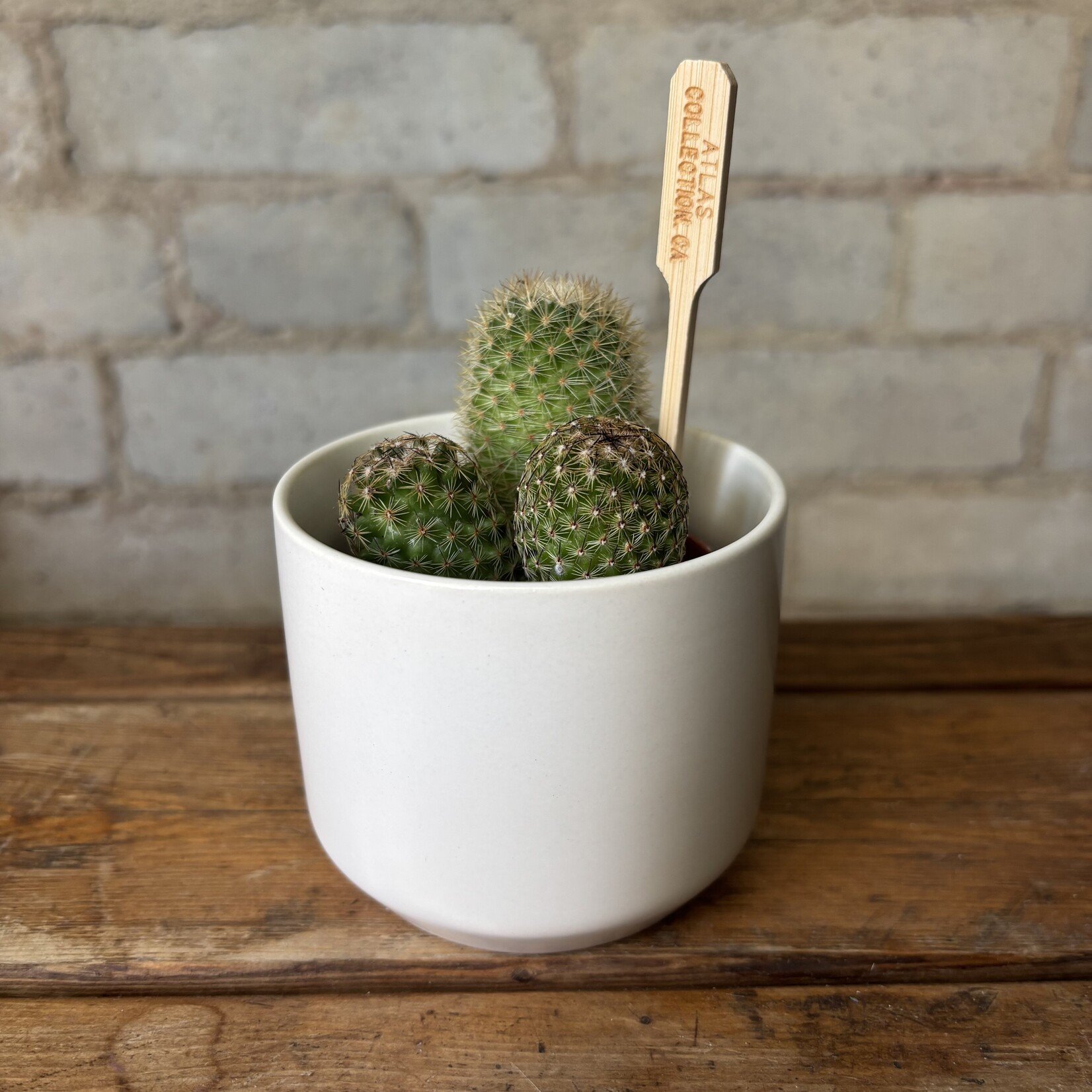 Kendall White (Fits 2.5")