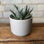 Kendall Grey (Fits 2.5")