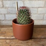 Kendall Brown (Fits 2.5")