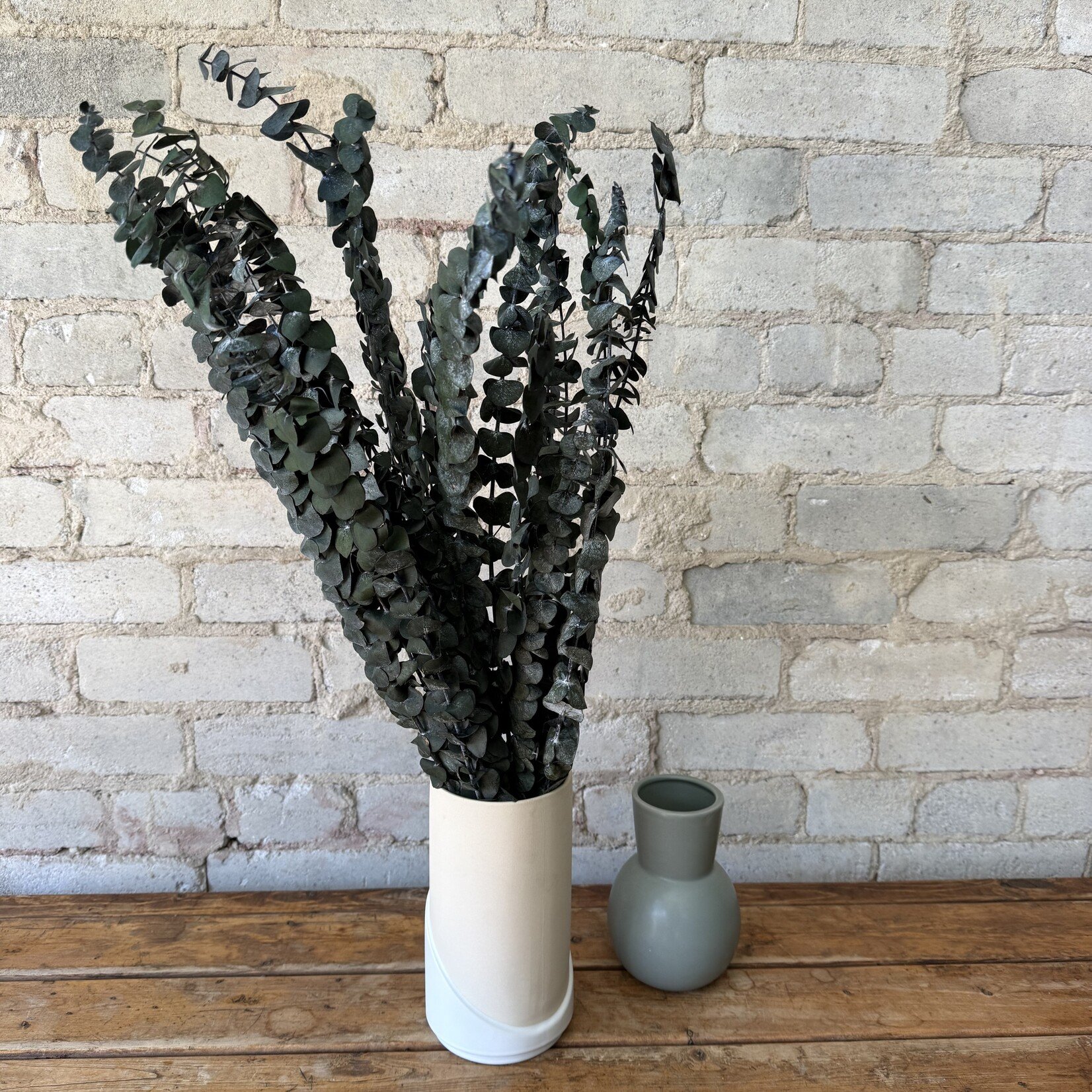 Vyn Preserved Eucalyptus (dried bunch)