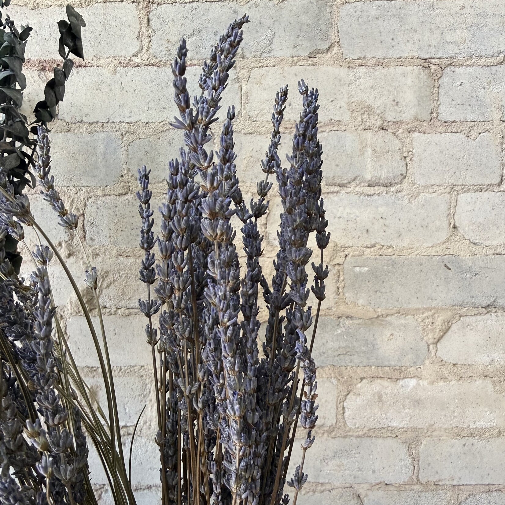Vyn Dried Lavender (Bunch)