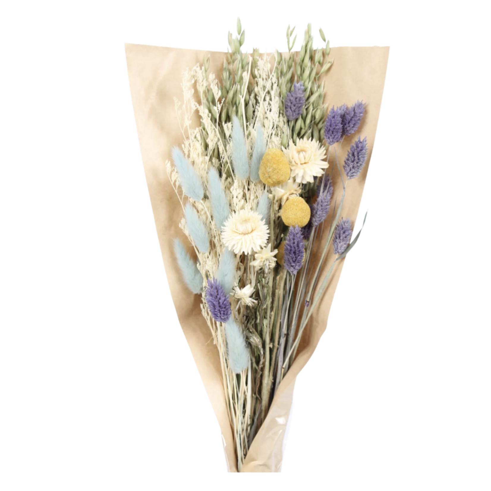 Vyn 'Everyday' Dried Floral Bouquet (with blue)