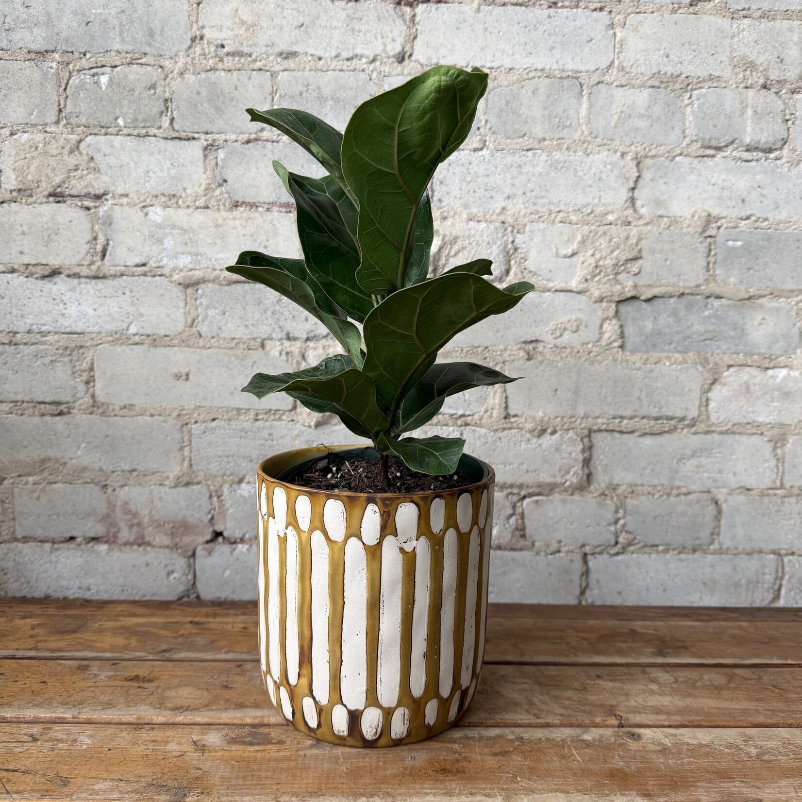 Anselm Pot (fits 6")