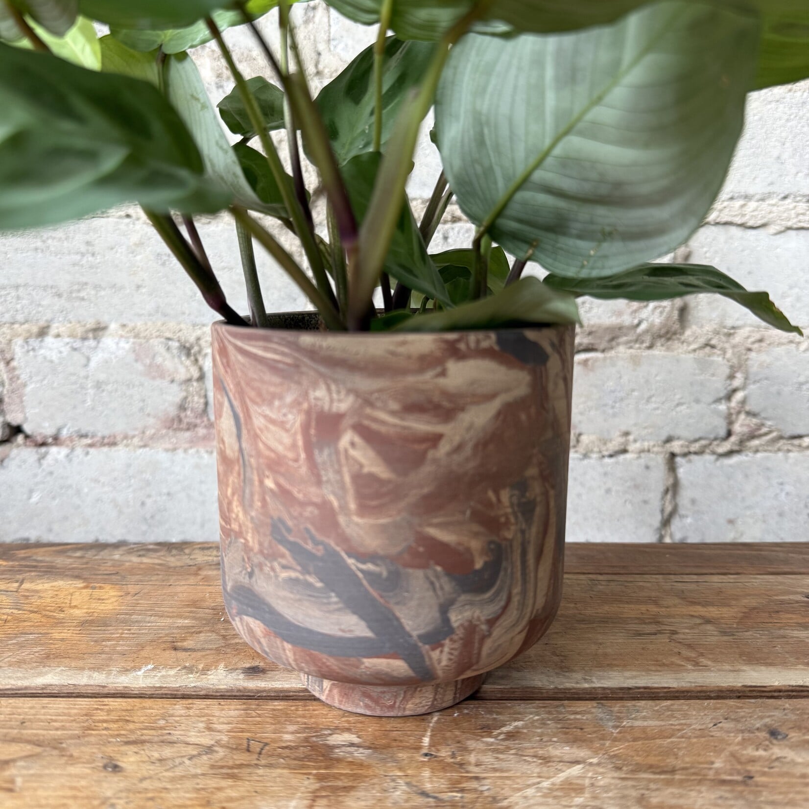 Tedros Pot (fits 4")
