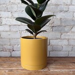 Romey Pot Yellow (fits 7")