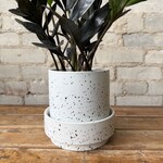 Claxton Pot w saucer (fits 5")