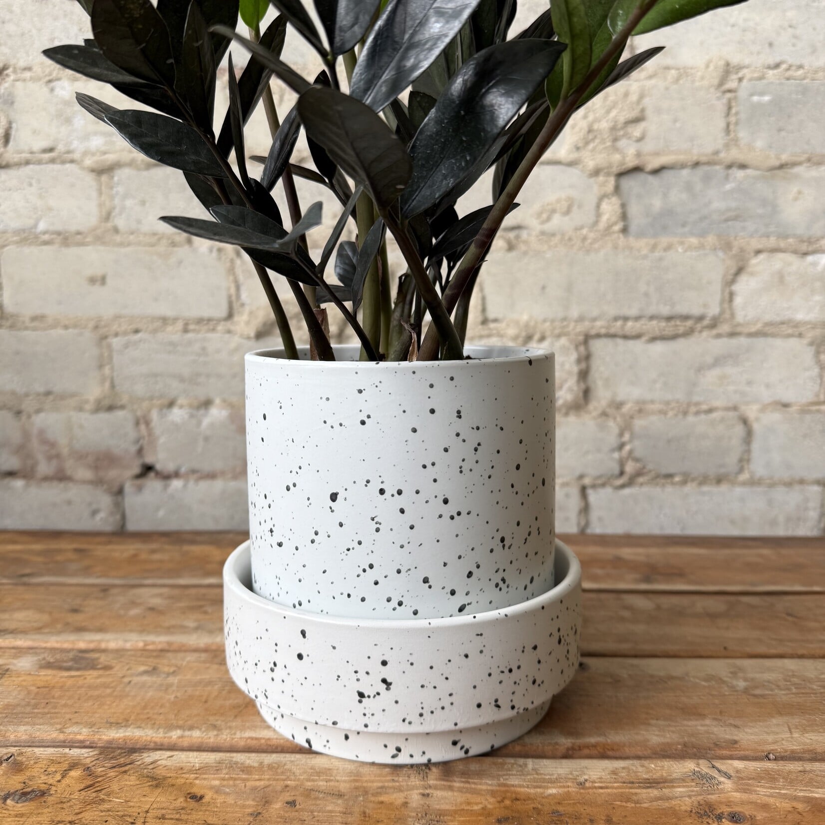 Claxton Pot w saucer (fits 5")