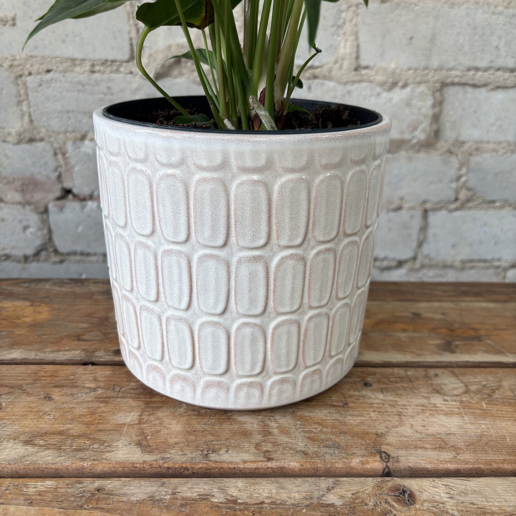 Lagom Pot (fits 6")