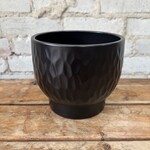 Ebony Pot (fits 5.5")