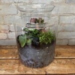 Large Glass Terrarium: Jungle