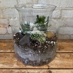 Glass Terrarium: Desert