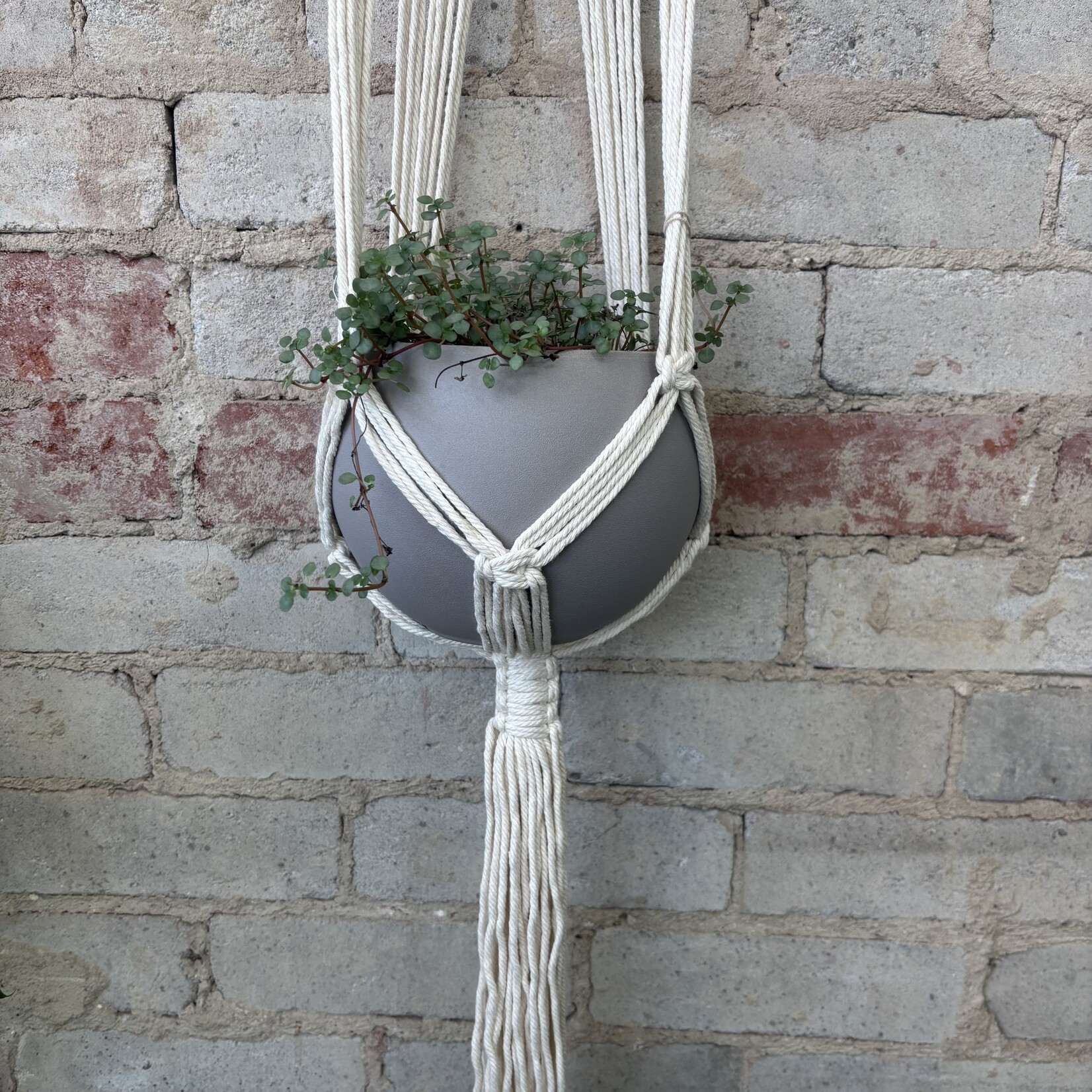 Artevasi Macrame - White
