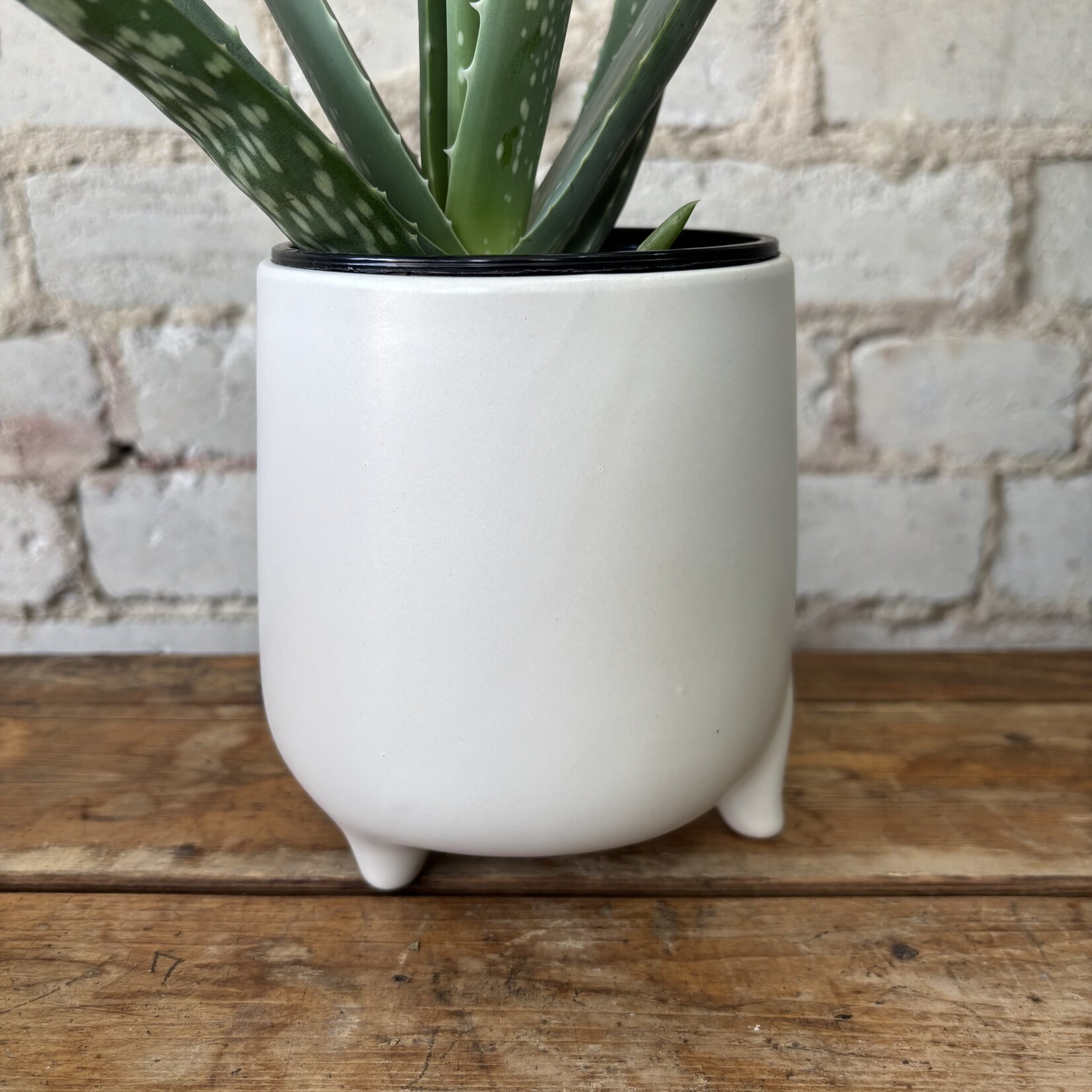 Freya Pot (fits 4")